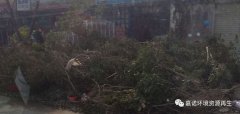超強(qiáng)臺(tái)風(fēng)災(zāi)害后垃圾處理，援助第1站：惠州